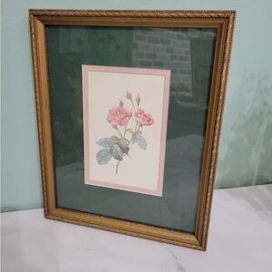 Framed Pink Rose Botanical Print with Gold Frame